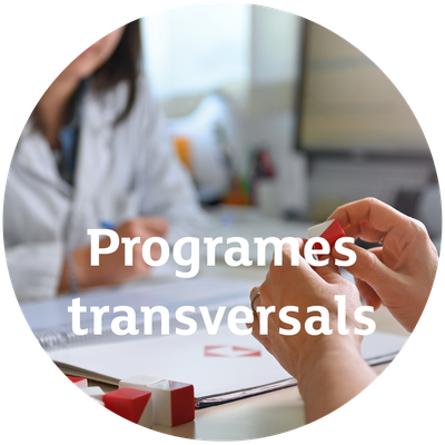 programes transversals2.png