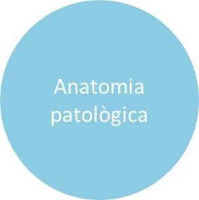 diagnòstic_anatomiapat.jpg