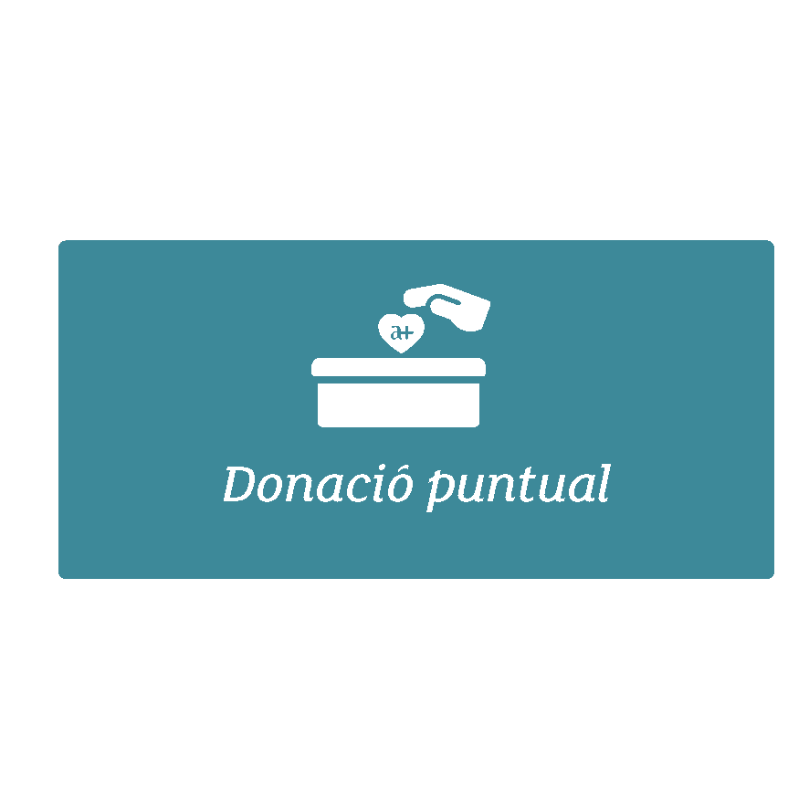 donacio_puntual.png