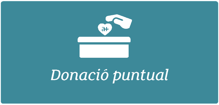 puntual2.png puntual2.png