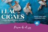 Ballet Solidari: El Llac dels Cignes