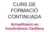 Curs d'actualització sobre la Insuficiència Cardíaca