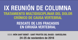 IX Reunió de Columna