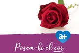 Roses solidàries per Sant Jordi