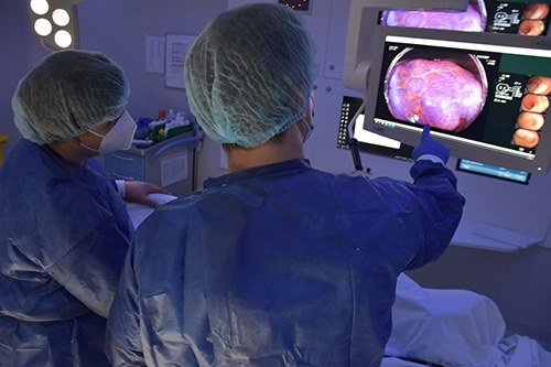 Althaia crea un curs pioner per millorar la detecció precoç del càncer colorectal amb el finançament de La Marató de TV3 Althaia crea un curs pioner per millorar la detecció precoç del càncer colorectal amb el finançament de La Marató de TV3