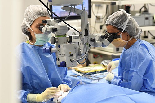 Althaia i l'Hospital de Berga creen els serveis territorials de Cirurgia i Oftalmologia Althaia i l'Hospital de Berga creen els serveis territorials de Cirurgia i Oftalmologia