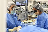 Althaia i l'Hospital de Berga creen els serveis territorials de Cirurgia i Oftalmologia Althaia i l'Hospital de Berga creen els serveis territorials de Cirurgia i Oftalmologia