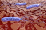 Atenció Primària d’Althaia lidera un estudi multicèntric sobre la infecció per 'Helicobacter Pylori' que publica una prestigiosa revista internacional