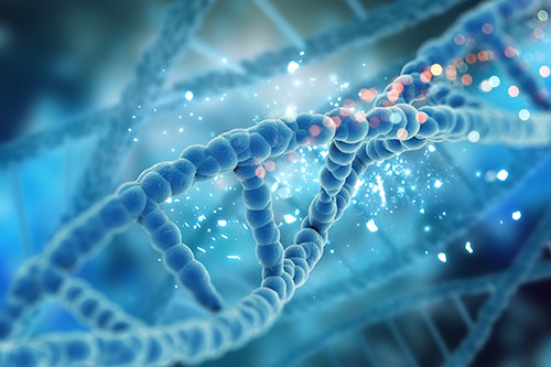 El Servei d’Oncologia d'Althaia participa en un estudi que avalua la implementació del Programa d’Oncologia de Precisió a Catalunya
