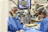 El servei d’Oftalmologia participa en l’estudi més important publicat fins al moment sobre l’anàlisi de les lents intraoculars d’ancoratge iridià retropupil·lar