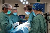 Estudiants de Medicina de la UVic-UCC participen en una pràctica virtual i en temps real de cirurgia endocrina que s’ha realitzat per segon any