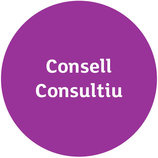 ConsellConsultiu.png