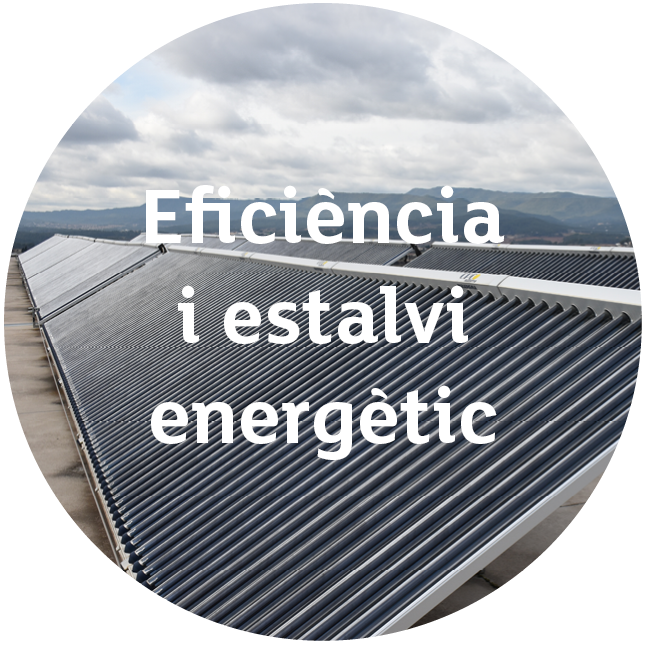 althaia sostenible_eficiencia3.png