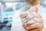 Neurologia Neurologia